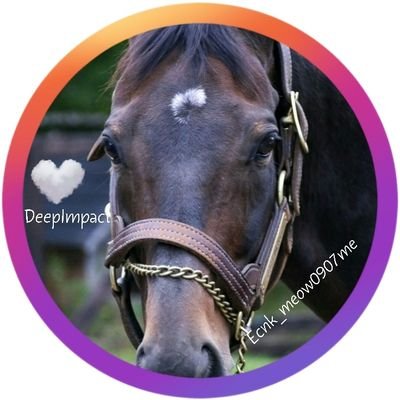 Ecnk_meow0907me's profile picture. 🐴お馬さん大好き.❤
 #ハヤテから紡ぐ幸希の会 会員 ハヤテさん大好き.🩷🐴
19*7/30/ディープ逝去🙏3/25*サンデー&ディープのBD◡̈⃝︎⋆︎**✲ฺ* ✲*.｡✡◡̈⃝︎⋆︎*
#引退競走馬 #TCC引退競走馬 FP会員
⚠️🚫予想家さん&🐴アカ以外フォローしないでください.🚫⚠️