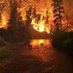 Climate Emergency 🚨 (@mindfulchill) Twitter profile photo Climate Emergency 🚨 (@mindfulchill) Twitter profile photo