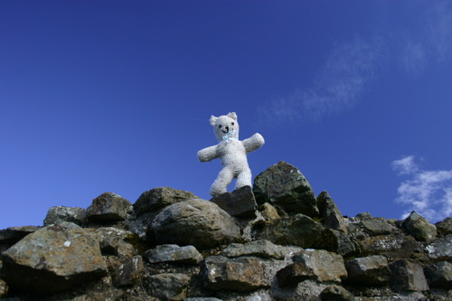 I'm a home made bear who loves travel, eating, mischief, friends, music and fun. I am the founder of the Happy Thoughts and More Smiles Foundation.
