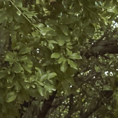 Ioernn4's profile picture. لا اله إلا أنت سبحانك إني كنت من الظالمين