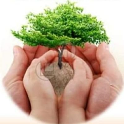 Gerontologa2's profile picture. 👵👴