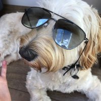 Maccaa (@gargrave65) 's Twitter Profile
