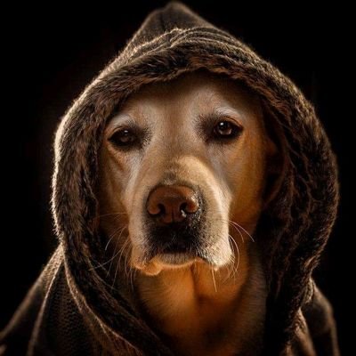 martinclara193's profile picture. want a nice and care man