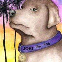 Jobi The Lab(@JobiTheLab) 's Twitter Profile Photo