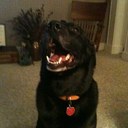 Beverly Brister - @BJBrister - Twitter