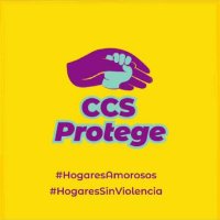 Caracas Protege (@ccsprotege) 's Twitter Profile