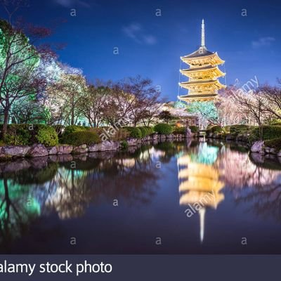 PapacitoBrown's profile picture. 