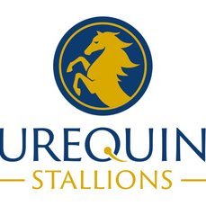 Eurequine Stallions stand the top warmblood breeding stallions in North America. Producing sport horses for Jumpers, Hunters, Eventers and Dressage.