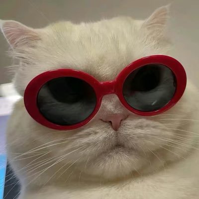 VX8tbO321W8Ndj0's profile picture. 女，颜控，没照片不回