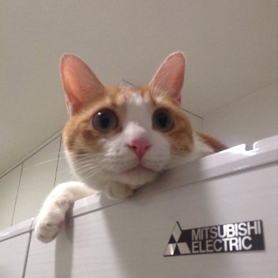 YellowRax's profile picture. 