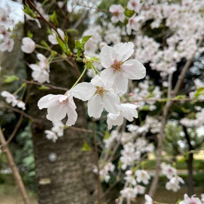 今いるところが楽園
元写真アカウントですが個人情報管理のため地元のはあまり載せられなくなりました。
皆さんの投稿写真を眺めて味わう系です。