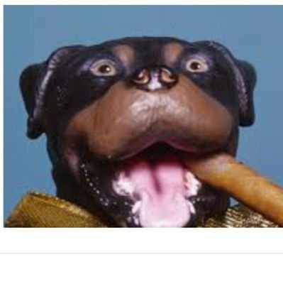 Greatda05072835's profile picture. I'm your best friend, they say.
