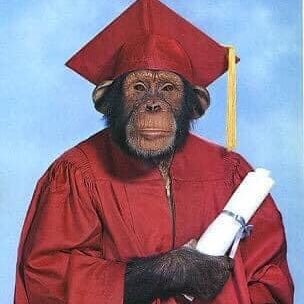 alexdawdy2's profile picture. 