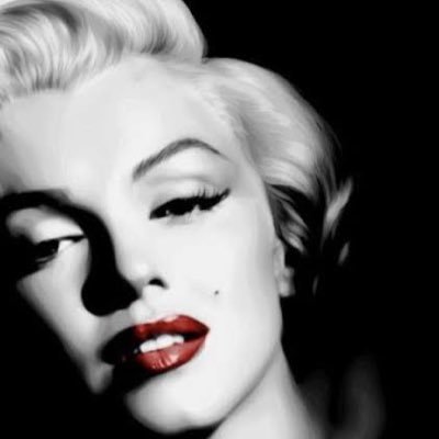 plv59632935's profile picture. 