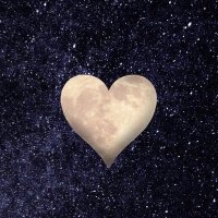 Abstractwisdom_ (@sagileo_s) 's Twitter Profile