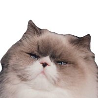 中本じょんう (@3eavn) Twitter profile photo