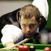 Barry Hawkins (@barry_hawkins_) Twitter profile photo Barry Hawkins (@barry_hawkins_) Twitter profile photo