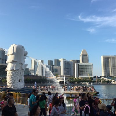 Ryoya_SGP1703's profile picture. 小学生からG党！