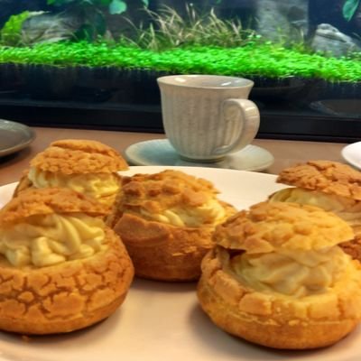 guppy_cafe's profile picture. ◆令和2年8月 神奈川県秦野市にオープン◆グッピー&メダカが居るスイーツカフェ◆小田急線渋沢駅徒歩9分◆有名ラーメン店なんつっ亭様近く◆オープン時間12時〜18時◆月曜定休◆グッピー、メダカ販売◆神奈川県秦野市堀西93-4◆ ◆080-6894-0793◆ランチやってます◆