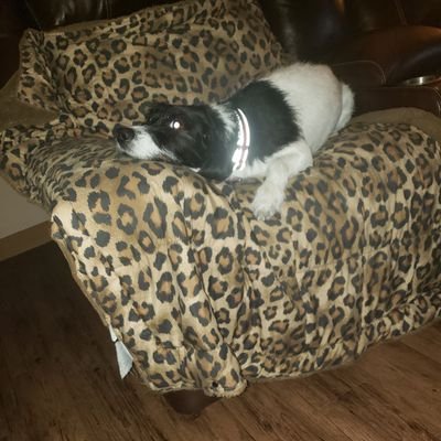 mikehunt_704's profile picture. Been many places and seen many things.