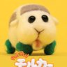 al6wul4wul4's profile picture. software engineer at FAANG /脾氣很差的工程師/ 沒付錢就別指教，除非你很可愛，不然本人沒有想跟你對話討論的意願/沒開團購沒搞粉絲團謝絕社交 這個人脾氣很差會回罵也會公審/一言不合就會封鎖/已婚，仇婚女者自重/我會告人，錢跟時間還有法律資源絕對比低端柯粉多，柯粉做什麼骯髒事前請三思
