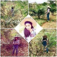 NemiScript✨ (@nemiscript) 's Twitter Profile