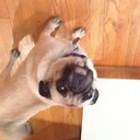 susan wargo - @stwargo - Twitter