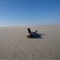 Azizz.fe (@azizzfe) Twitter profile photo