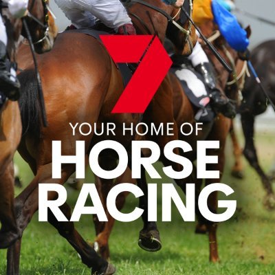 7horseracing Profile Picture