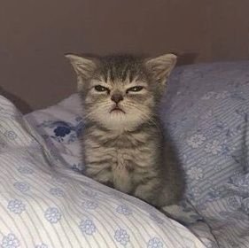 ditamin_e's profile picture. 