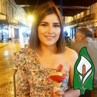 Shauna Scanlon (@swanscan) 's Twitter Profile