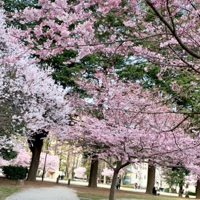 roqamagaw's profile picture. 