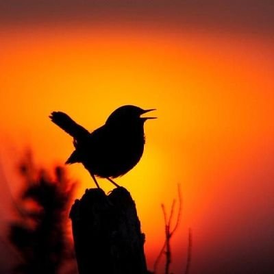 There is no more beautiful sight than beauty in front of beauty
No one can understand the natural in the world
🪴🥀🍁🪴🍁🥀
