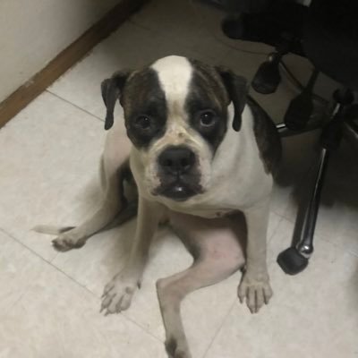 Teeemomo1's profile picture. Leave Your Conscience At The Door