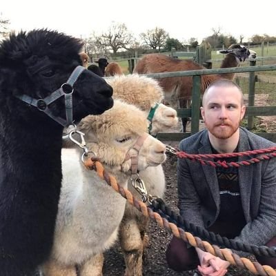 mnpdt's profile picture. retweeting anaesthetics/crit care/simulation/neuro/music/animal content (mostly so that I can rediscover stuff that made me laugh first time around)