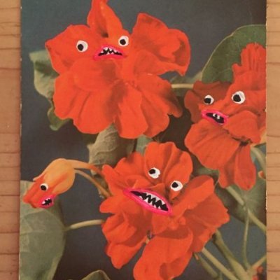 ReyesManglano's profile picture. 