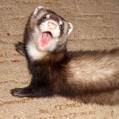 xQl7tid1xQBCcCO's profile picture. 