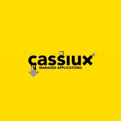 Wij zijn Cassiux en wij geloven in een perfecte mix. Die mix bestaat voor ons uit (1) uw gebruiksgemak; en (2) onze technische IT expertise.