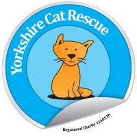 Yorkshire Cat Rescue(@Yorkscatrescue) 's Twitter Profileg