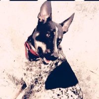 Ankiee (@ankiee11) 's Twitter Profile