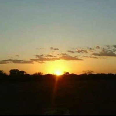 mengihstu's profile picture. Petroleum Engineer