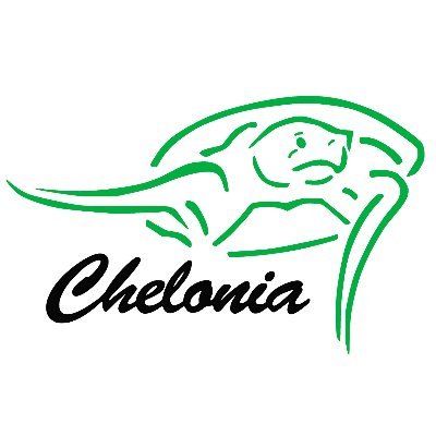 Chelonia_ong Profile Picture