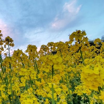 vSPCpQviqOXSAgr's profile picture. 