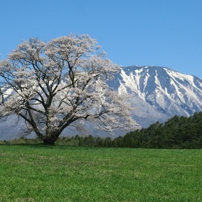 盛岡市を中心とした岩手の風景を写真や動画でゆるく投稿します。盛岡さんさ踊りなど郷土芸能についても調べています。よろしくお願いします。

＊公式RT多めなので苦手な方はRT非表示設定がおすすめです。