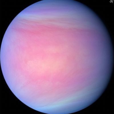 Cinnamon1511's profile picture. Mars: #Scorpio
Venus: #Capricorn
Jupiter: #Taurus
Sun: #Scorpio...🦂🕊🦅
Mercury: #Scorpio
Moon: #Leo
Ascendant: #Leo
Vertex: #Pisces