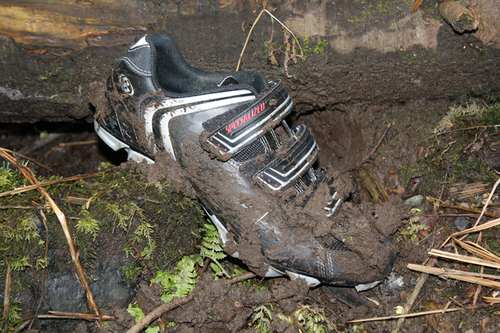 TheMuddyShoe's profile picture. Cooking, biking are things that I enjoy doing.