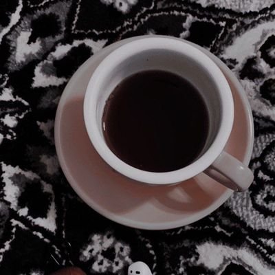 TJknSeWEbqXQL3H's profile picture. 