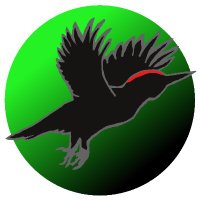 Palokärki eSports (@fpalokarki) 's Twitter Profile