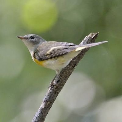 Sandeep1pal's profile picture. 