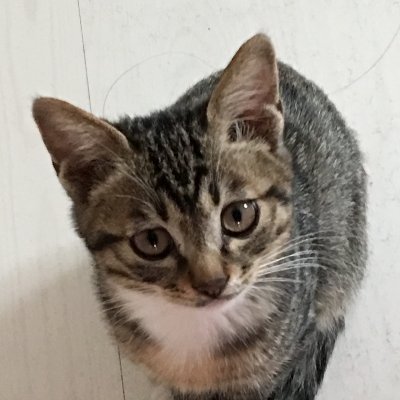 yokuts's profile picture. 孤舟蓑笠翁，独钓寒江雪。